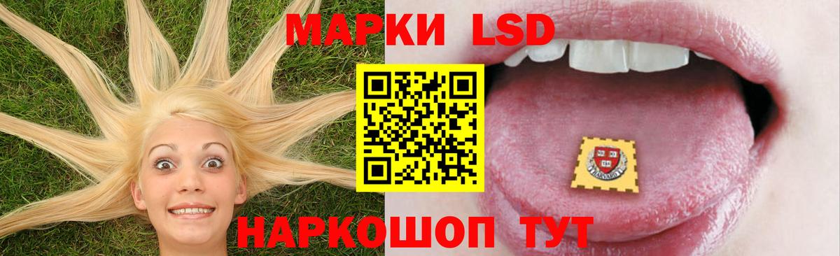 ЛСД экстази ecstasy  Вход с VPN  Елизово 